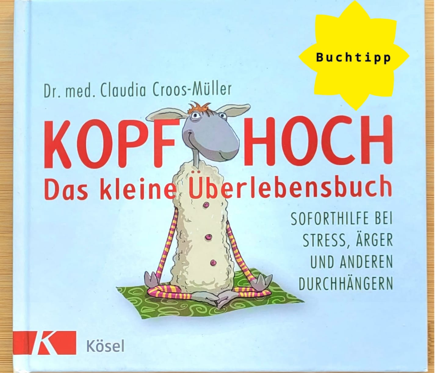 Kopf hoch Das kleine Überlebensbuch